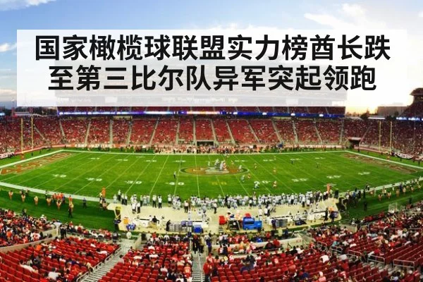 NFL stadium crowd