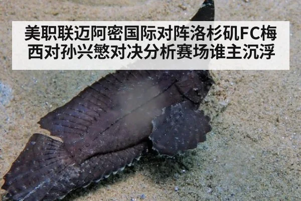 美职联迈阿密国际对阵洛杉矶FC梅西对孙兴慜对决分析赛场谁主沉浮