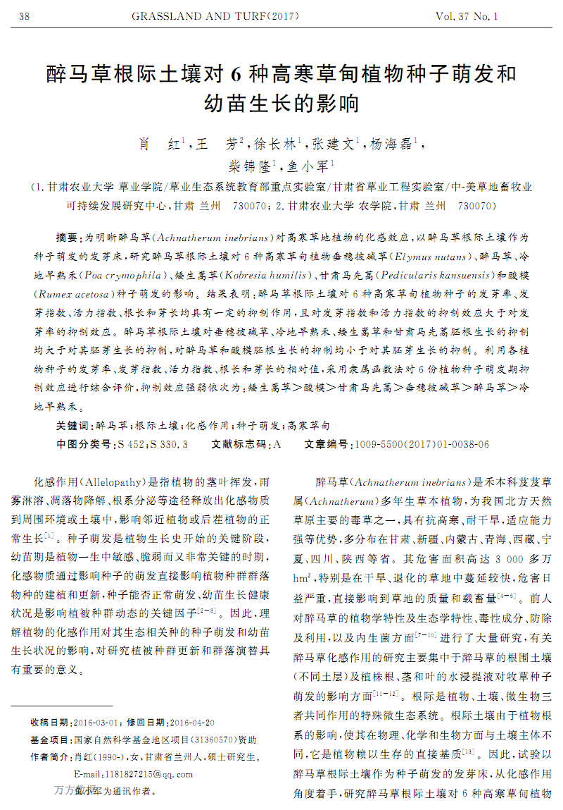 星空赛事