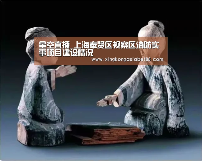 星空直播_上海奉贤区视察区消防实事项目建设情况(图3) 星空赛事