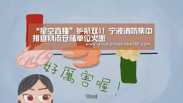 “星空直播”护航双11 宁波消防集中排查物流仓储单位火患(图4) 星空直播